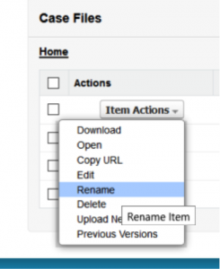 Rename Object