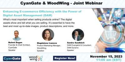 Enhancing E-commerce Efficiency with the Power of DAM
